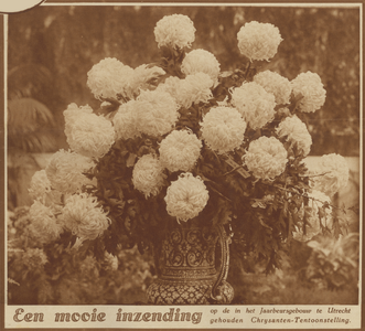 872796 Afbeelding van een mooie inzending op de Chrysantententoonstelling in het Jaarbeursgebouw (Vredenburg) te Utrecht.